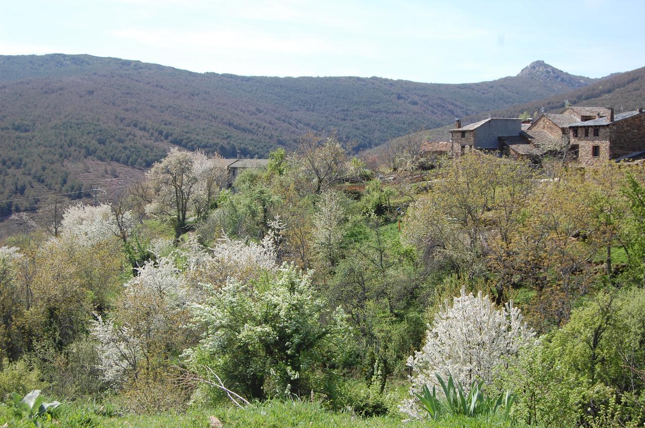 Apartamentos Turisticos La Alqueria De Valverde Valverde De Los Arroyos Exteriér fotografie